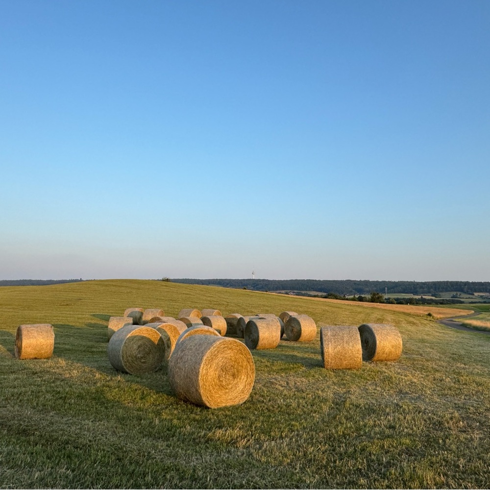 Meet your Posher, JAZ